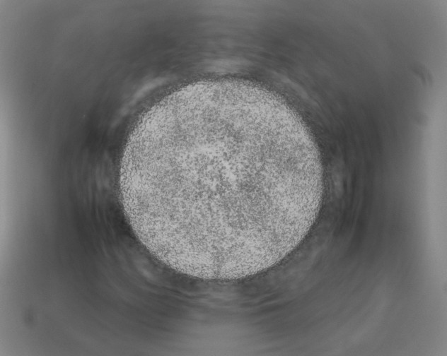 X0000113241158200910221054