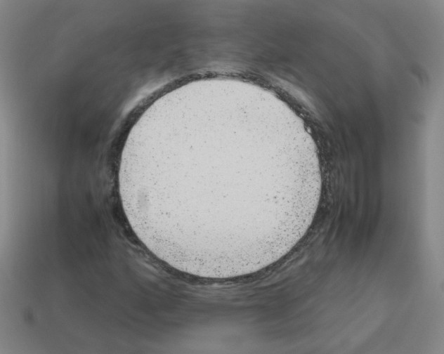 X0000113241160200910221054