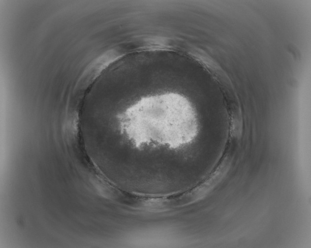X0000113241161200910221054
