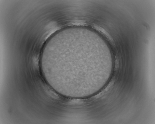 X0000113241162200910221054
