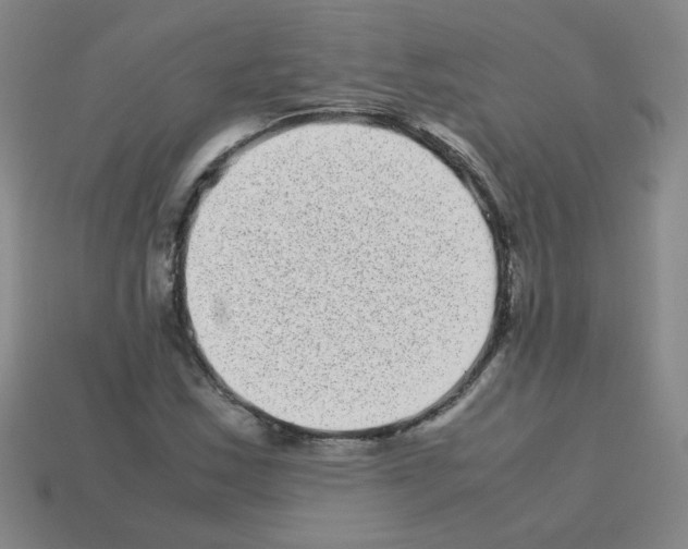 X0000113241163200910221054