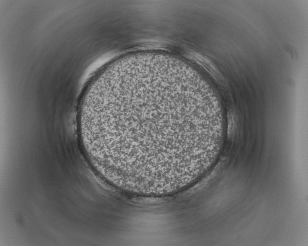 X0000113241164200910221054