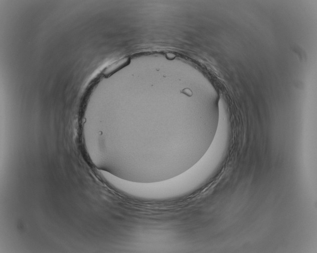 X0000113241165200910221054