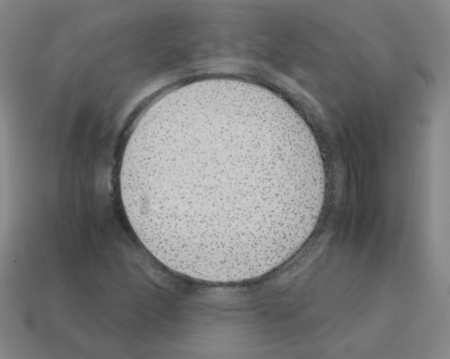 X0000113241166200910221054