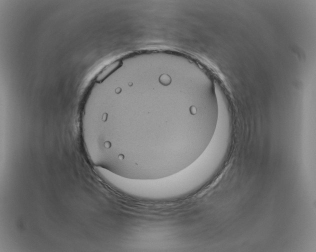 X0000113241167200910221054