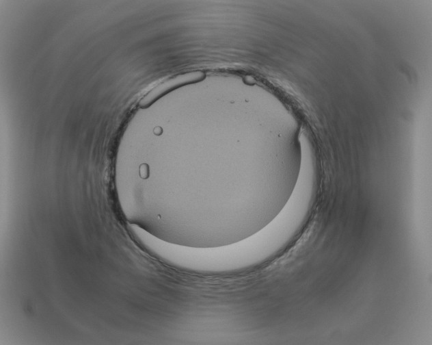 X0000113241169200910221054