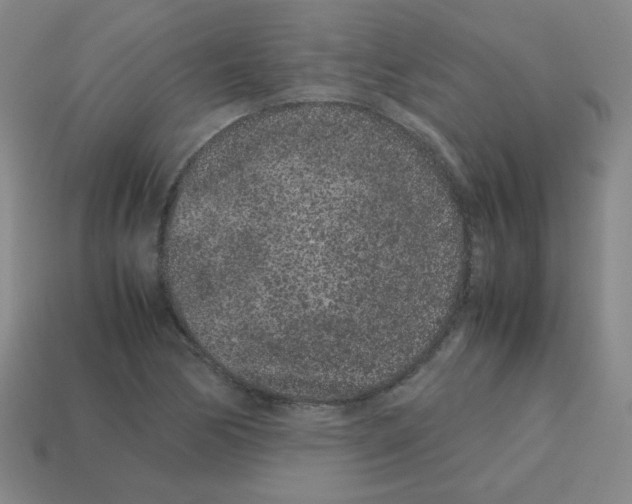 X0000113241170200910221054