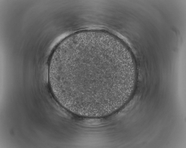 X0000113241171200910221054