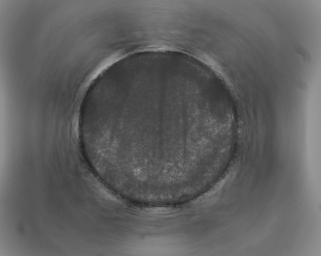 X0000113241173200910221054