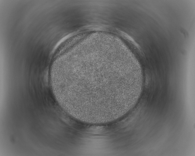 X0000113241174200910221054