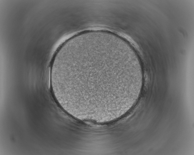 X0000113241175200910221054