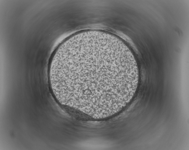 X0000113241176200910221054