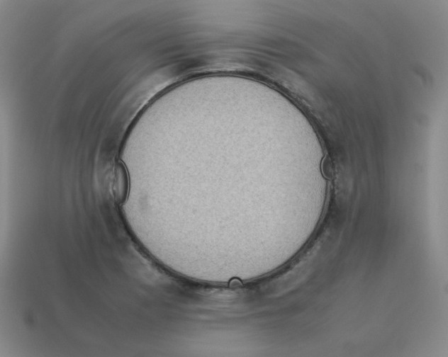 X0000113241177200910221054