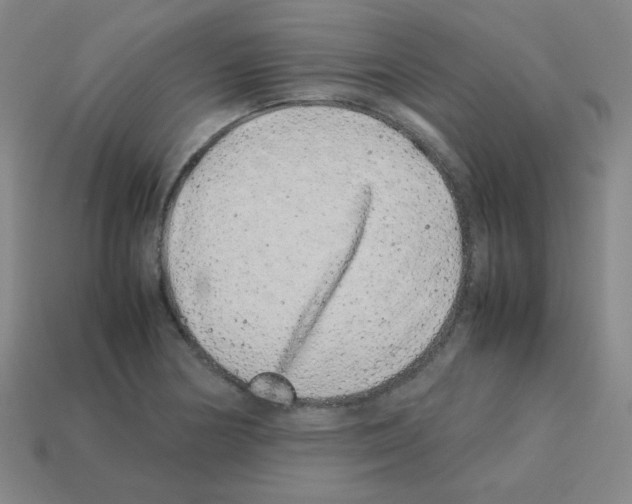 X0000113241178200910221054