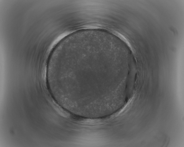 X0000113241179200910221054