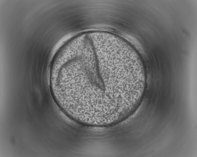 X0000113241180200910221054