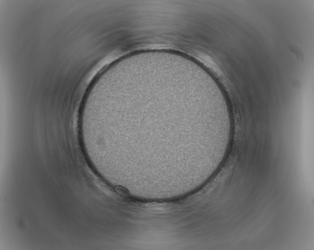 X0000113241181200910221054