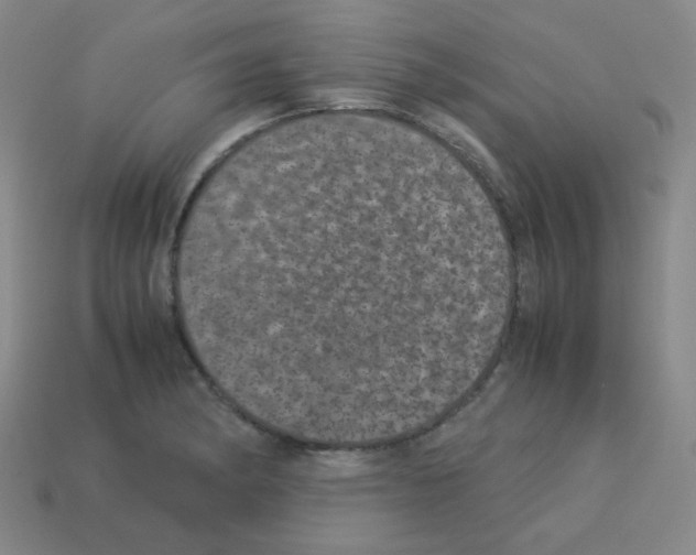 X0000113241182200910221054