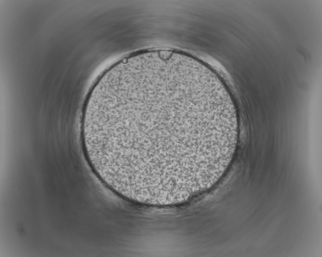 X0000113241183200910221054