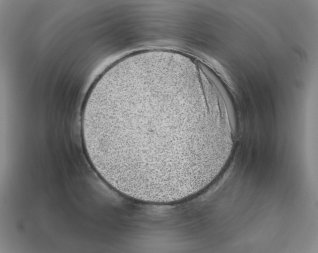 X0000113241184200910221054