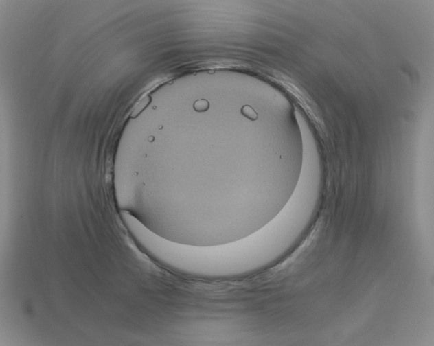 X0000113241185200910221054