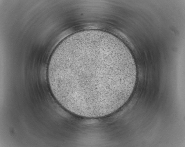X0000113241186200910221054