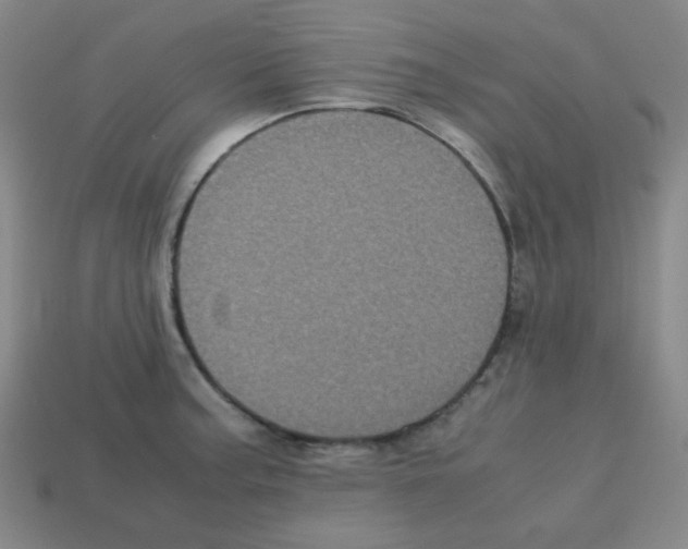 X0000113241187200910221054