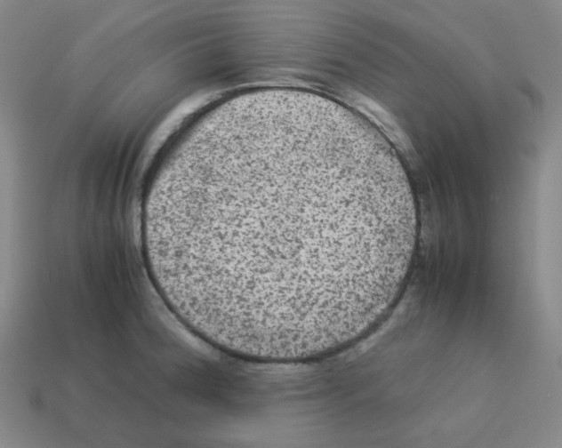 X0000113241188200910221054