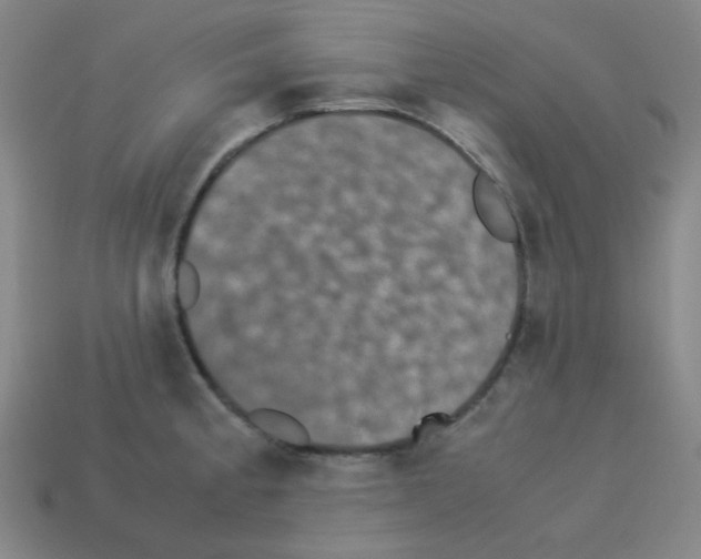 X0000113241189200910221054