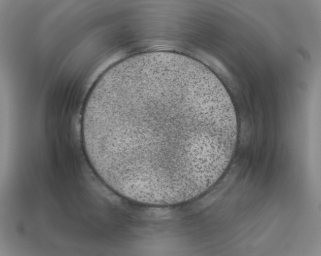 X0000113241190200910221054