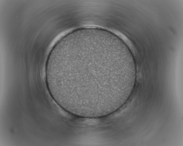 X0000113241191200910221054