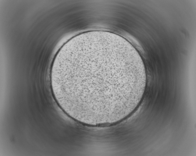 X0000113241192200910221054