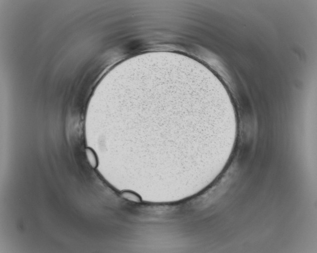 X0000113241193200910221054