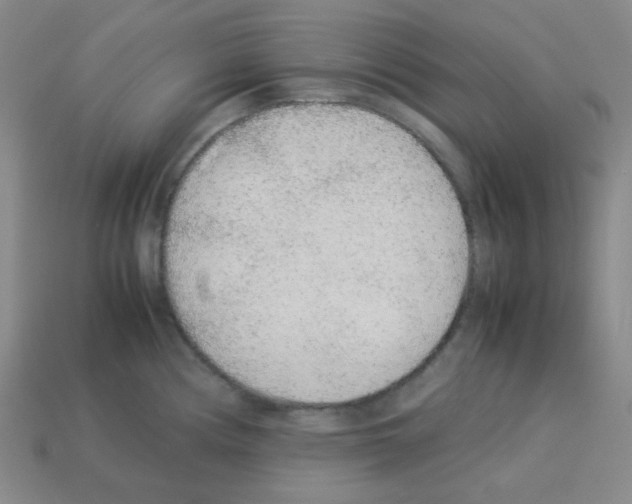 X0000113241194200910221054