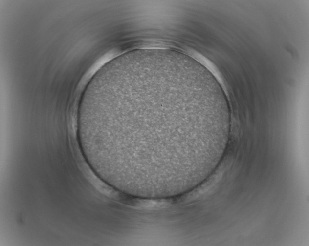 X0000113241195200910221054