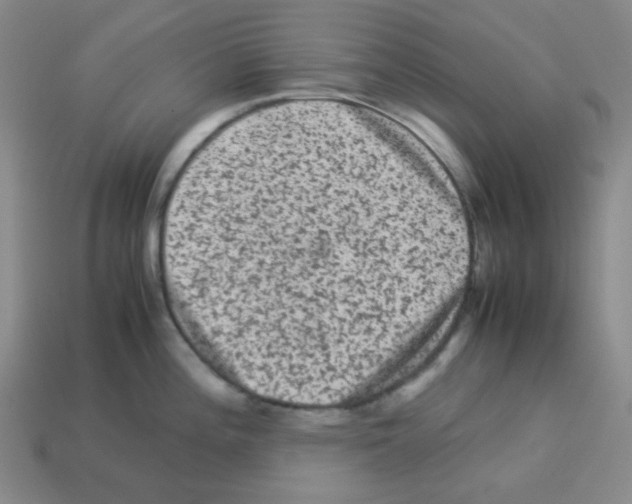 X0000113241196200910221054