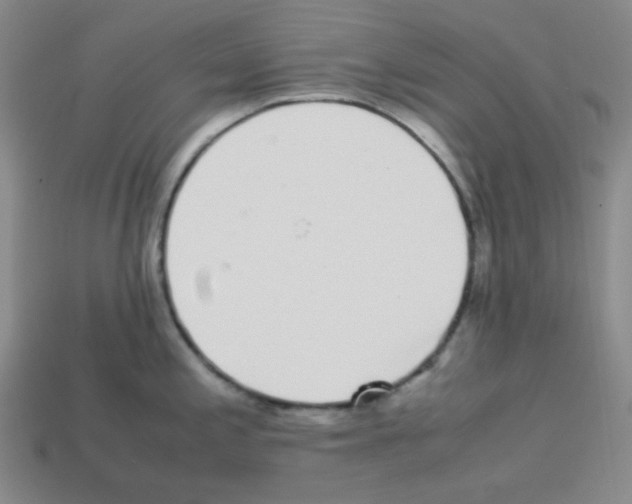 X0000113241197200910221054