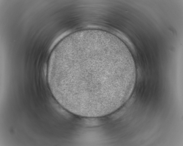 X0000113241198200910221054