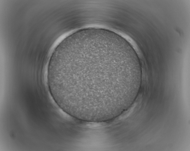 X0000113241199200910221054