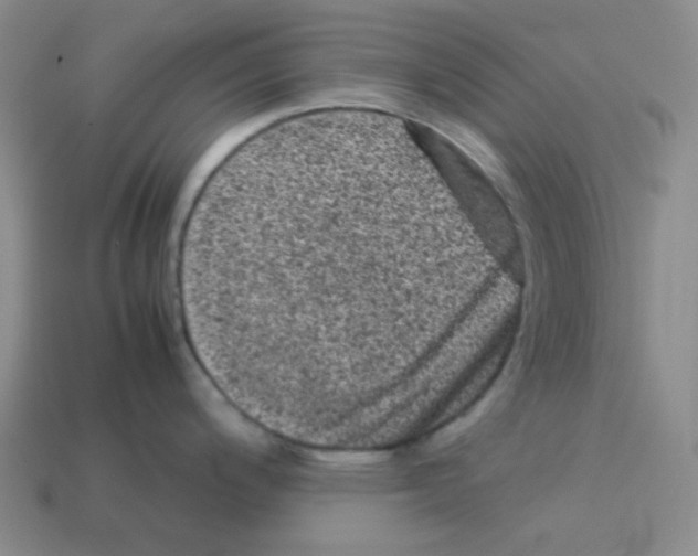 X0000113241200200910221054