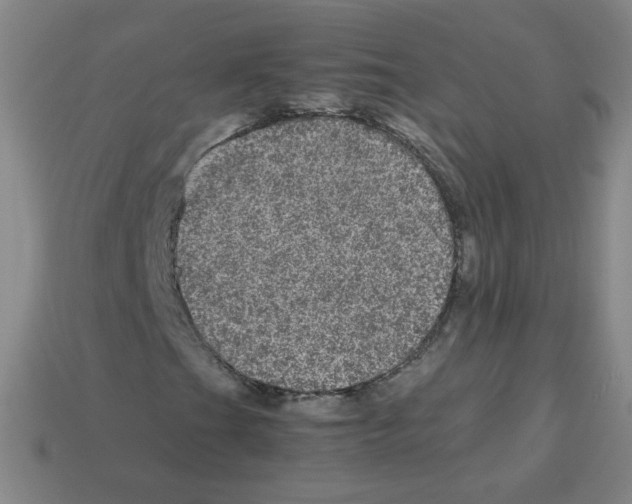 X0000113241201200910221053
