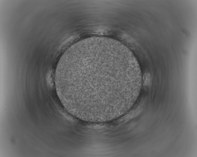X0000113241202200910221053