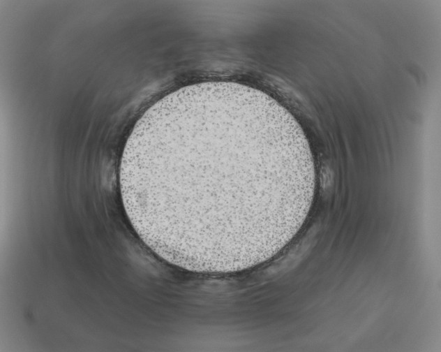 X0000113241204200910221053