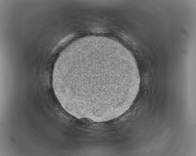 X0000113241205200910221053