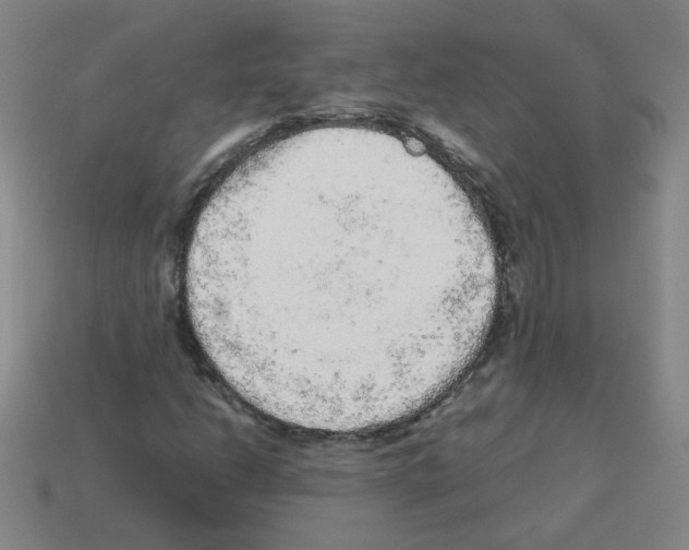X0000113241206200910221053