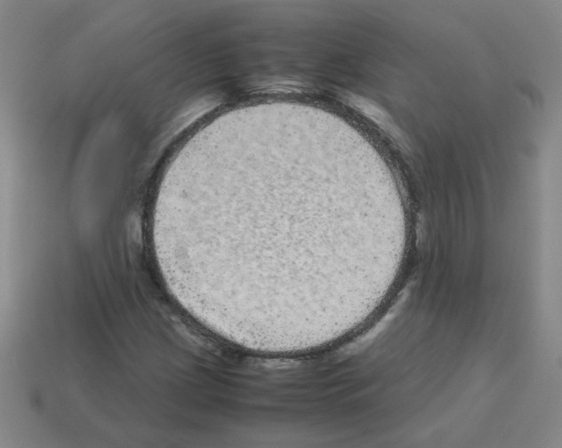 X0000113241209200910221053