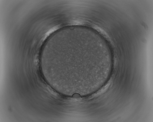 X0000113241210200910221053