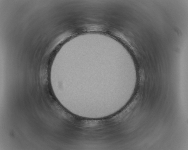 X0000113241211200910221053
