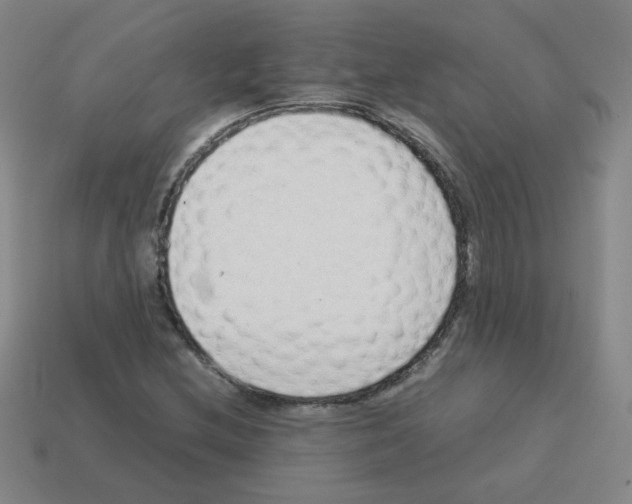 X0000113241212200910221053
