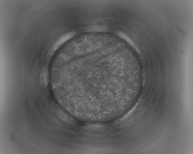 X0000113241213200910221053